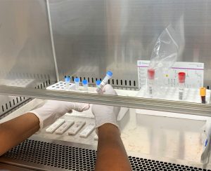 TEST ANTÍGENOS 12