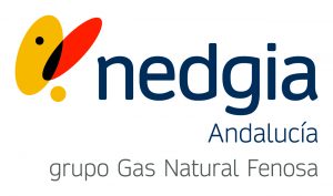 Logo Nedgia Andalucía